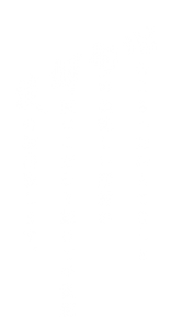 main_copy01