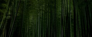 top_bg003